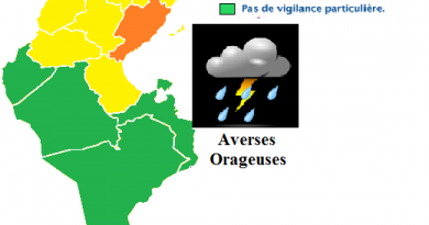 Wetterwarnung für die Mitte und den Südosten Tunesiens (Sfax) ab Mo., den 26.03.2018, 14 Uhr