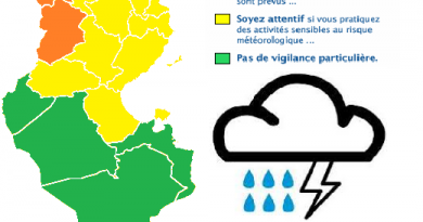 Wetterwarnung für den Norden, die Mitte und den Südosten Tunesiens ab Di., 17.04.2018, 6 Uhr