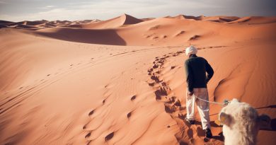 Menschen haben den Beginn der Wüste Sahara um 500 Jahre verzögert