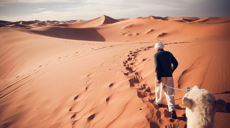 Menschen haben den Beginn der Wüste Sahara um 500 Jahre verzögert