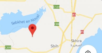 Leichtes Erdbeben (M3,0) bei Skhira zwischen Sidi Bouzid und Sfax