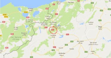 Leichtes Erdbeben im Gouvernorat Jendouba