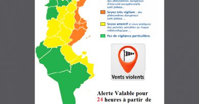 Warnung vor stürmischen Winden vor allem im Sahel und auf Cap Bon ab Mo., 22.10.2018, 22 Uhr