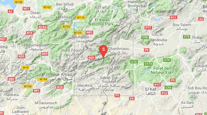 Leichtes Erdbeben bei Ghardimaoui im Gouvernorat Jendouba (M3,04)