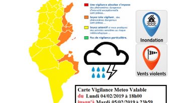 Warnung vor Starkwind und Starkregen an den östlichen Küsten ab Mo., 04.02.2019, 18.00 Uhr