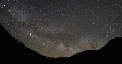 Lyriden Eta-Aquariiden Perseiden Lyriden-Meteorschauer Draconiden - Foto: NASA