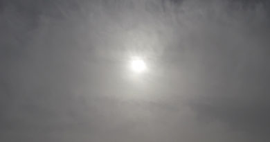 Symbolfoto: Verschleierte Sonne
