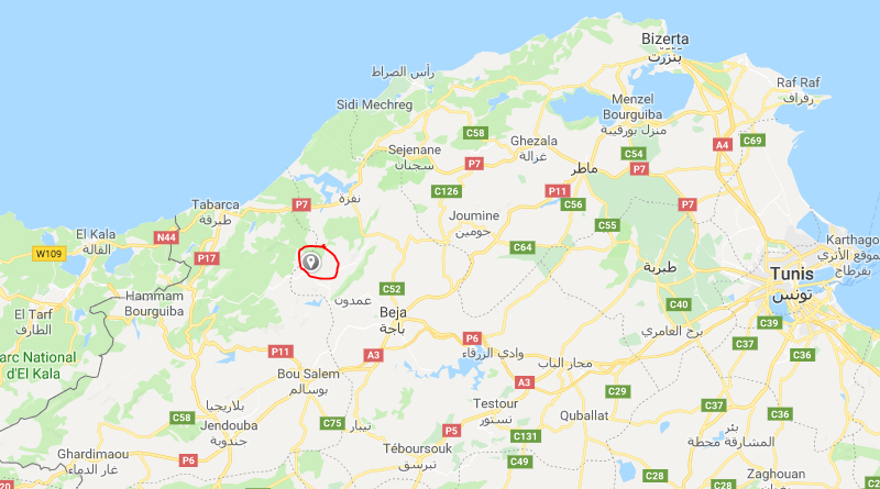 Moderates Erdbeben bei Amdoun im Gouvernorat Béja (M3,11)