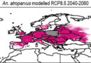 Malariaübertragende Moskitostämme werden sich im Laufe des Jahrhunderts über Europa ausbreiten. - Studie Universität Augsburg