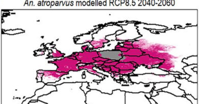 Malariaübertragende Moskitostämme werden sich im Laufe des Jahrhunderts über Europa ausbreiten. - Studie Universität Augsburg