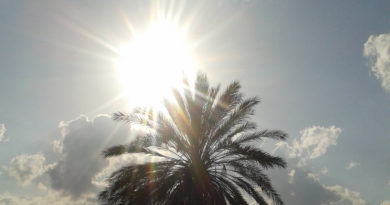 Wetterberuhigung und sonnig