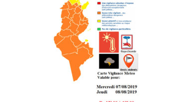 Warnung vor Hitze, Waldbrandgefahr, Starkwind und Gewittern am Mittwoch und Donnerstag (7./8. August 2019)