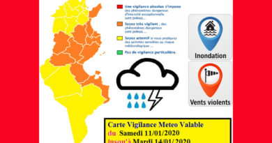 Warnung vor markantem Wetter ab Sa., den 11. Jan bis Di., den 14. Jan 2020