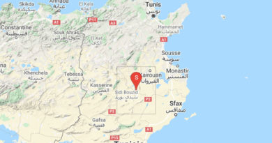 Erdbeben südwestlich von Kairouan