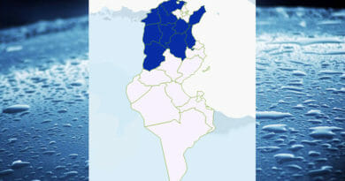 Niederschlagsmengen Tunesien: Mi., 15 Juli – Do., 16 Juli 2020, 7 Uhr