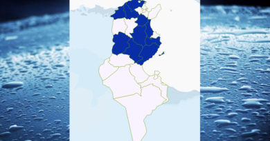 Niederschlagsmengen Tunesien: Fr, 11 Sep – Sa, 12 Sep 2020, 7 Uhr