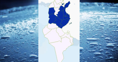 Niederschlagsmengen Tunesien: So, 20 Sep – Mo, 21 Sep 2020, 7 Uhr