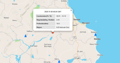8 Nov 2020: Leichtes Erdbeben im Gouvernorat Kairouan [M2.04]