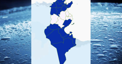 Niederschlagsmengen Tunesien: Fr, 20 Nov – Sa, 21 Nov 2020, 7 Uhr