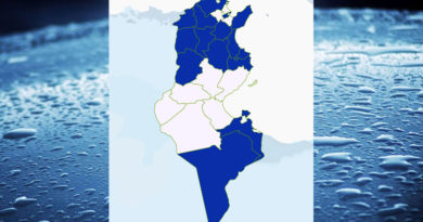 Niederschlagsmengen Tunesien: Sa, 21 Nov – So, 22 Nov 2020, 7 Uhr