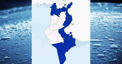 Niederschlagsmengen Tunesien: Di, 24 Nov – Mi, 25 Nov 2020, 7 Uhr