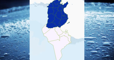 Niederschlagsmengen Tunesien: Mi, 2 Dez – Do, 3 Dez 2020, 7 Uhr