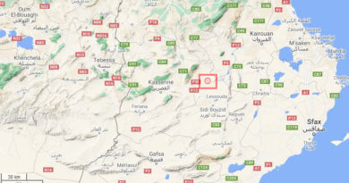 9 Juni 2021: Erdbeben bei Jelma im Gouvernorat Sidi Bouzid [M2.62]