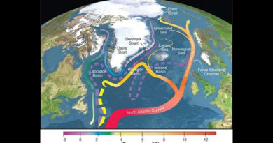 Klimawandel: Atlantische Umwälzströmung verliert Stabilität