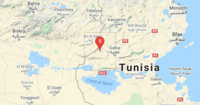 6 Feb 2022: Erdbeben im Gouvernorat Gafsa [M3.12]