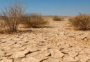 Dürre Wasserstress EIB-Klimaumfrage Häufigkeit von Trockenheitsepisoden in Tunesien steigt