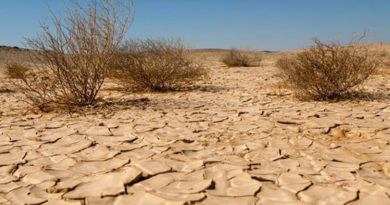 Wasserstress EIB-Klimaumfrage Häufigkeit von Trockenheitsepisoden in Tunesien steigt