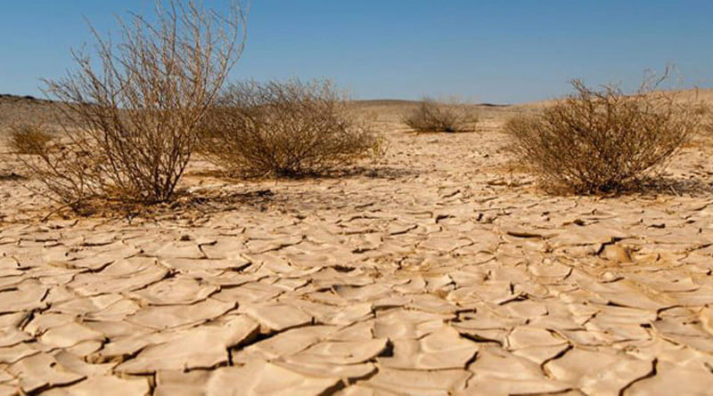 Wasserstress EIB-Klimaumfrage Häufigkeit von Trockenheitsepisoden in Tunesien steigt