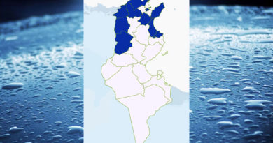 Niederschlagsmengen Tunesien: Sa, 26 Nov – So, 27 Nov 2022, 7 Uhr