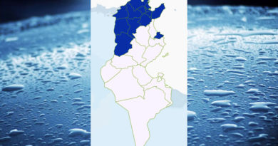 Niederschlagsmengen Tunesien: Di, 29 Nov – Mi, 30 Nov 2022, 7 Uhr
