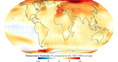 2022 war das fünftwärmste Jahr seit Beginn der Wetteraufzeichnungen