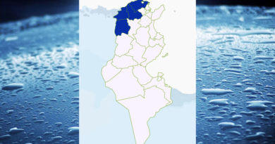 Niederschlagsmengen Tunesien: Mi, 18 Jan – Do, 19 Jan 2023, 7 Uhr