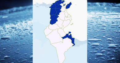 Niederschlagsmengen Tunesien: Sa, 21 Jan – So, 22 Jan 2023, 7 Uhr