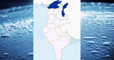 Niederschlagsmengen Tunesien: So, 22 Jan – Mo, 23 Jan 2023, 7 Uhr