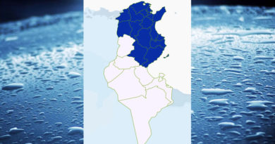 Niederschlagsmengen Tunesien: Di, 7 Feb – Mi, 8 Feb 2023, 7 Uhr