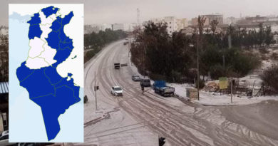 Niederschlagsmengen Tunesien: Mo, 13. Feb – Di, 14. Feb 2023, 7 Uhr