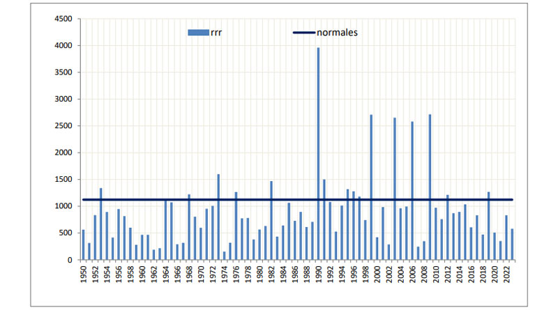 Monatliche Niederschlagssumme seit 1950über Tunesien: Monat Januar (rrr: Monatssumme)