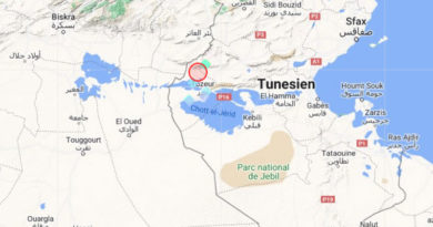 4 April 2023: Stärkeres Erdbeben im Gouvernorat Tozeur [M5.0]