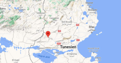 6 April 2023: Leichtes Erdbeben im Gouvernorat Gafsa [M3.6]
