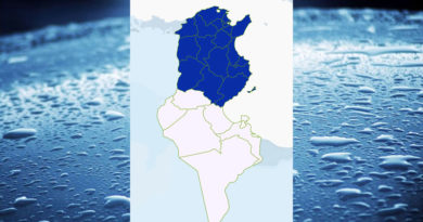 Niederschlagsmengen Tunesien: Mo, 3. Apr – Di, 4. Apr 2023, 7 Uhr