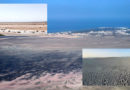 Klimawandel vertreibt Zugvögel aus ausgetrockneten tunesischen Feuchtgebieten