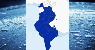 Niederschlagsmengen Tunesien: Mi, 30. Aug – Do, 31 Aug 2023, 7 Uhr