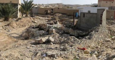 Die Hochwasserkatastrophe von Redeyef (Gafsa) 2009